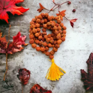 Rudraksha malai 8mm