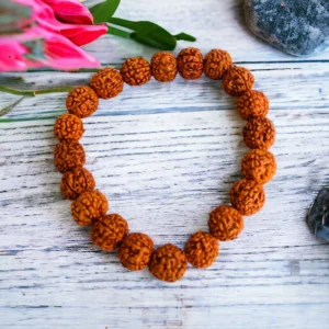5 mukhi Rudraksha bracelet 10mm